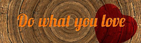 do what you love