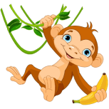 monkey